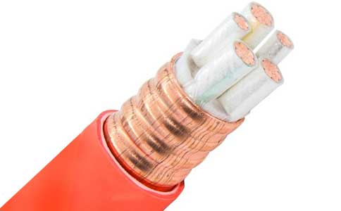 <a href='http://www.tndrh.cn/kuangwuzhidianlan/' target='_blank'><u>礦物質(zhì)電纜</u></a>
